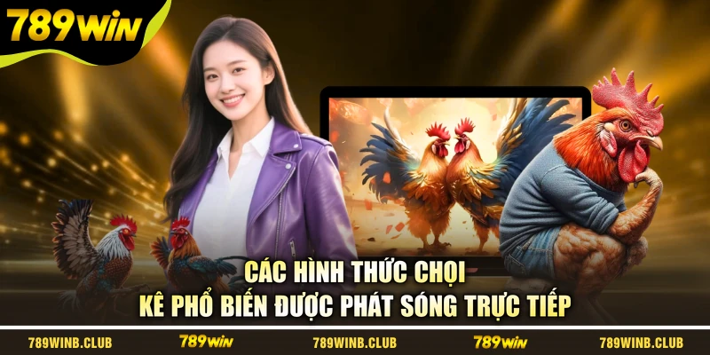 Các hình thức chọi kê phổ biến được phát sóng trực tiếp