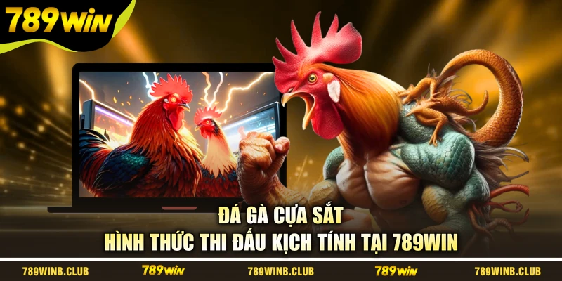 Đá Gà Cựa Sắt - Hình Thức Thi Đấu Kịch Tính Tại 789WIN