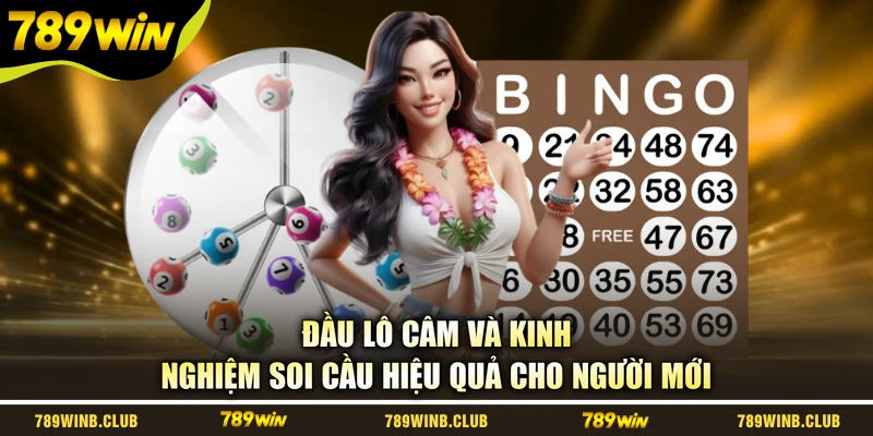 Đầu Lô Câm Và Kinh Nghiệm Soi Cầu Hiệu Quả Cho Người Mới