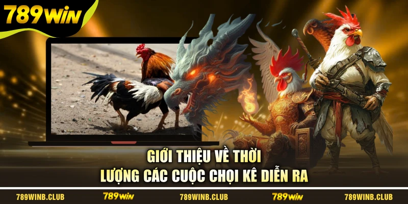 Giới thiệu về thời lượng các cuộc chọi kê diễn ra