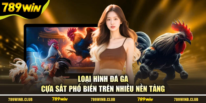 Loại hình đá gà cựa sắt phổ biến trên nhiều nền tảng