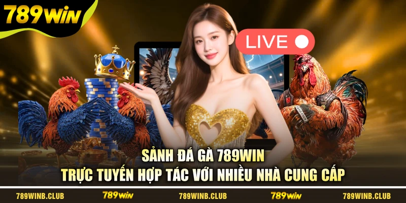Sảnh đá gà 789WIN trực tuyến hợp tác với nhiều nhà cung cấp