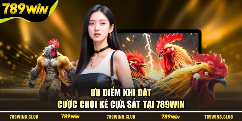 Ưu điểm khi đặt cược chọi kê cựa sắt tại 789WIN